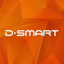 D-Smart Net-image